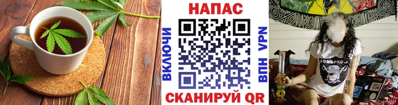 Купить  Инта  Canna-Cookies конопля 